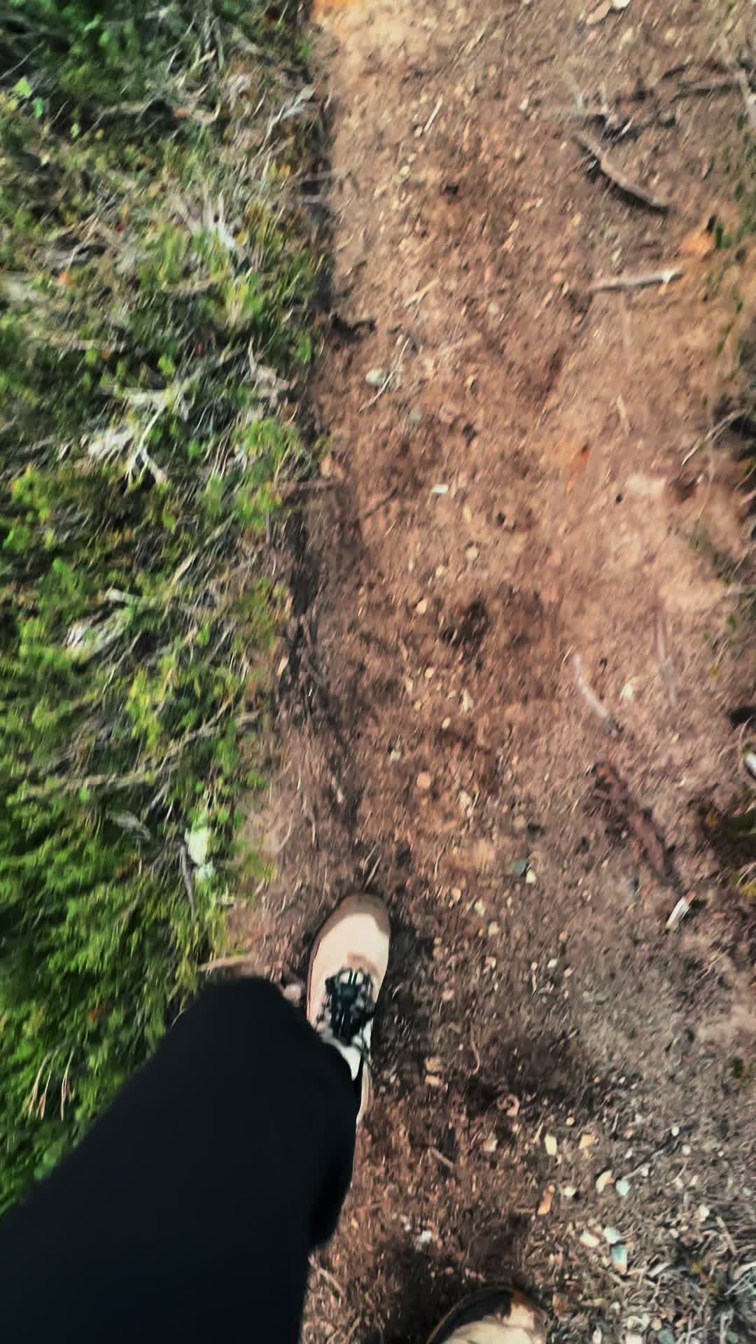 @🌲 James | WA 🏔️