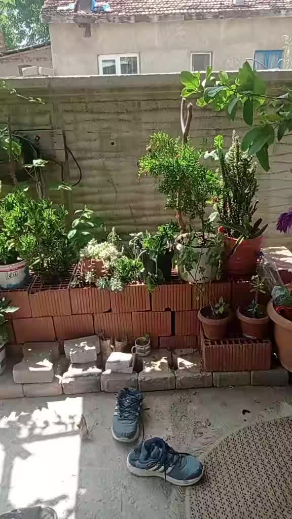 @yasemin sunar