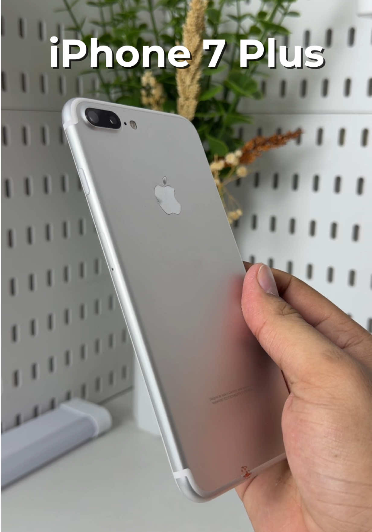 @iPhonary 🩷