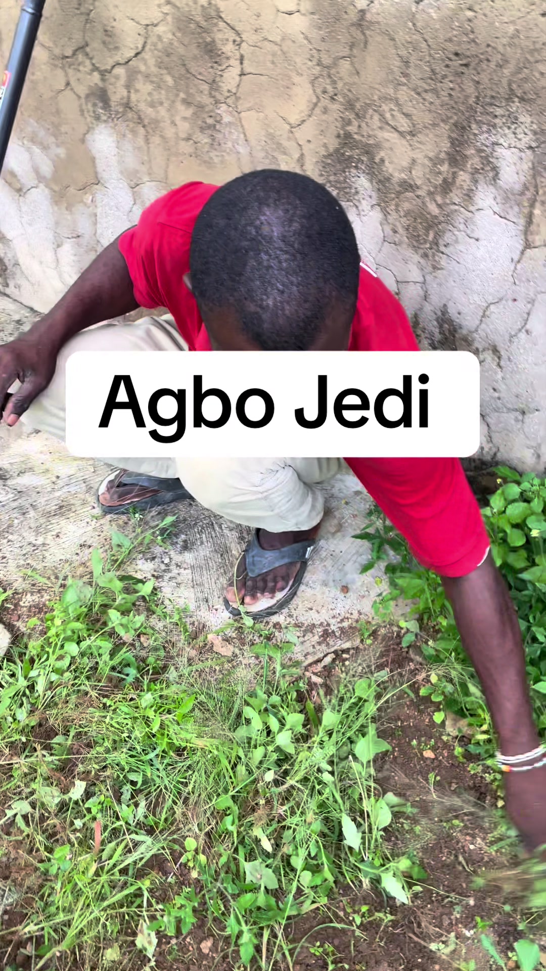 @Beejayempire