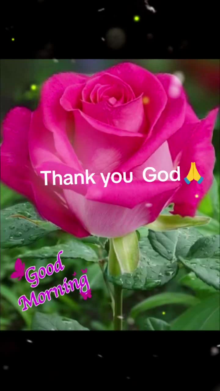 @Sai Meena