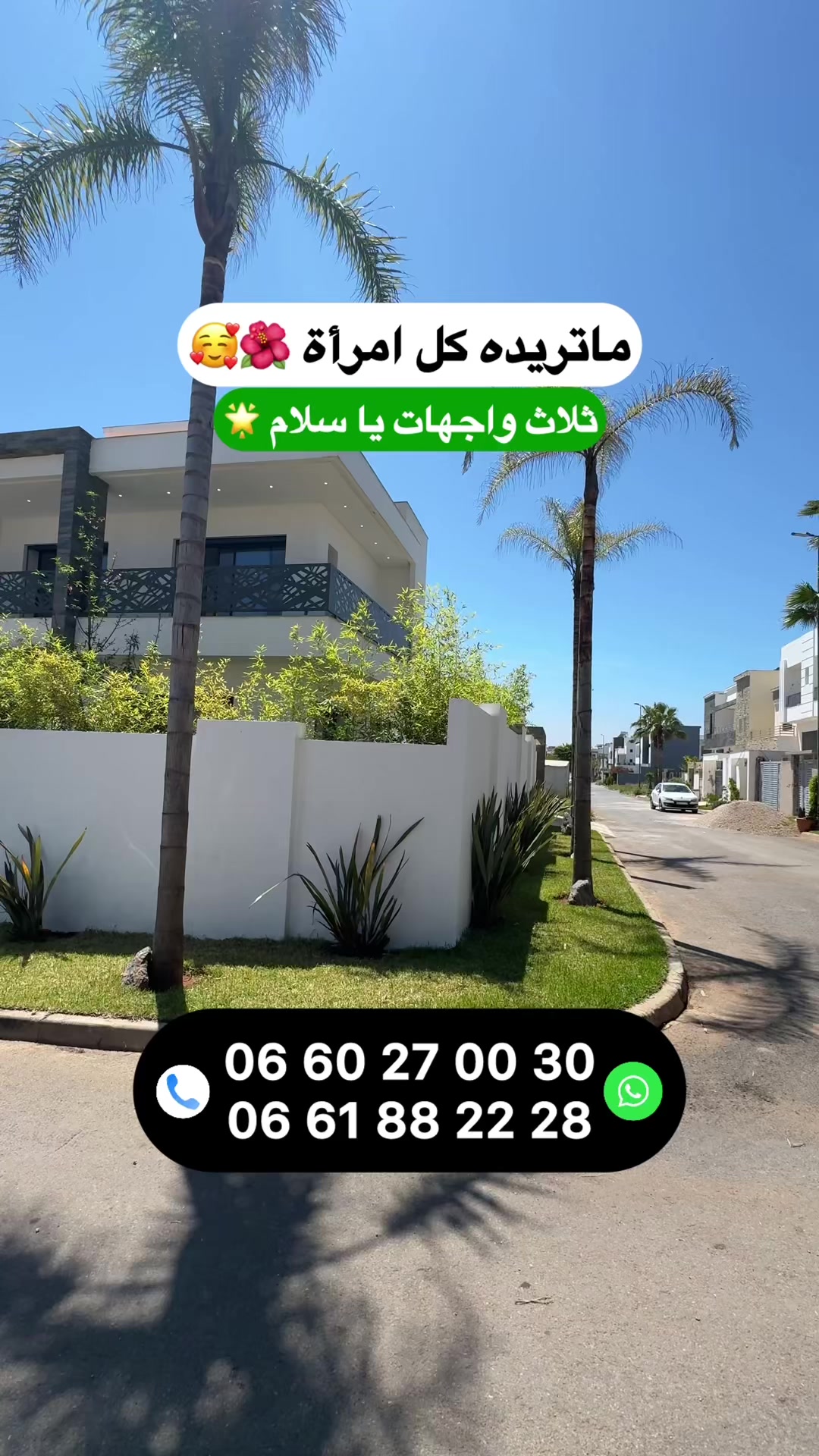 @Zakaria Haddad 🇲🇦🇵🇸