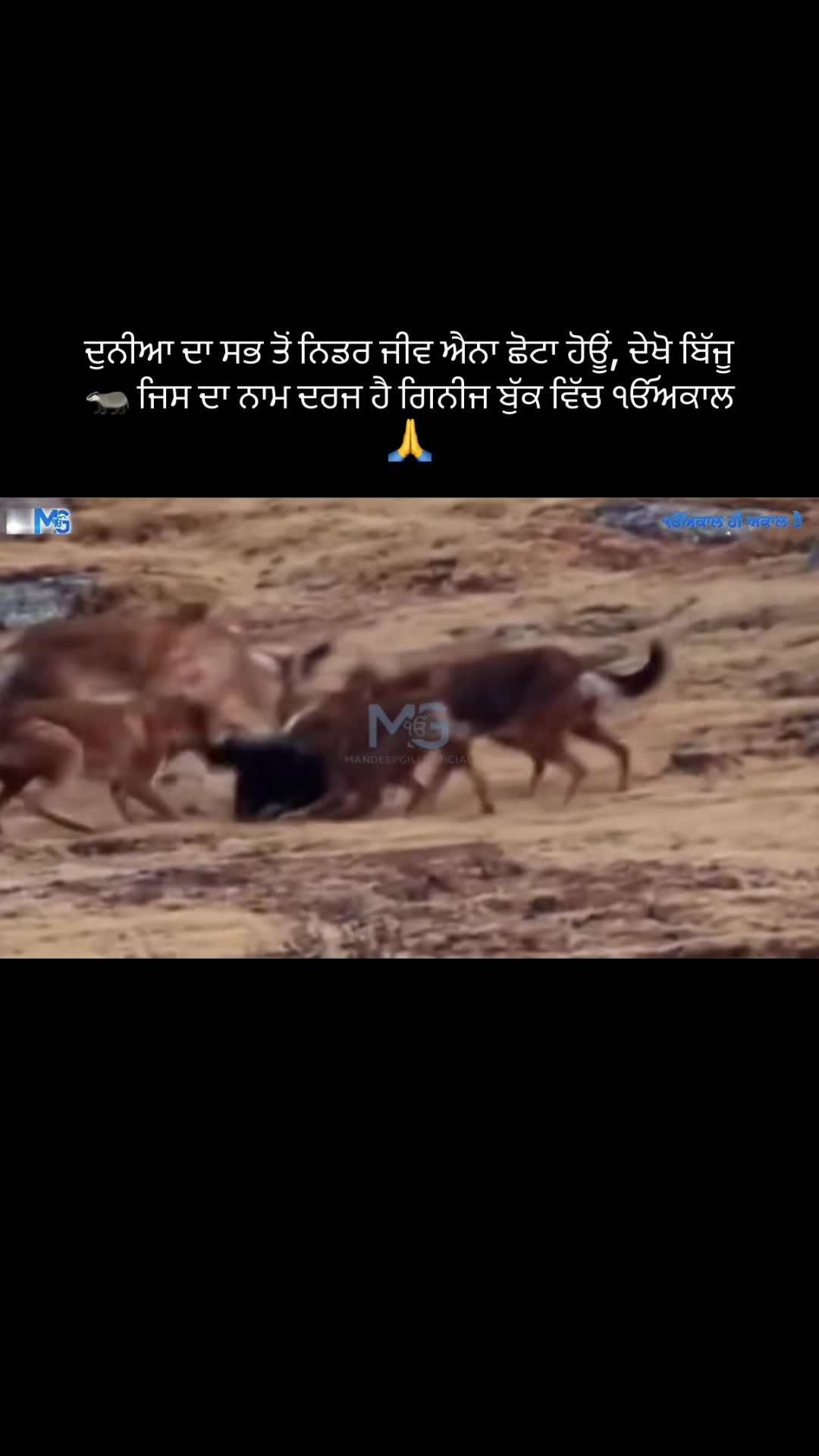@Mandeep Singh Gill