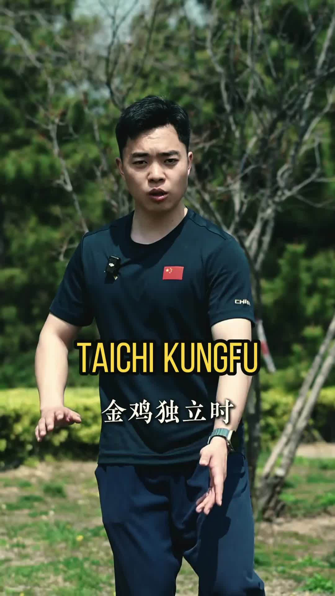 @taichituan