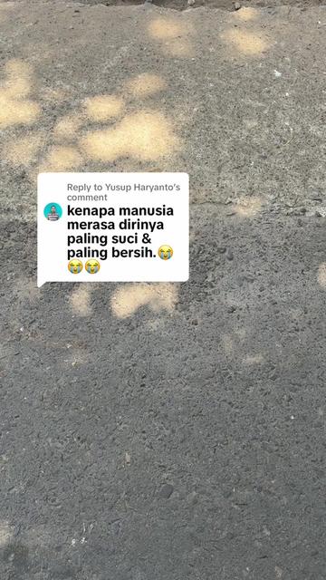 @kibbo