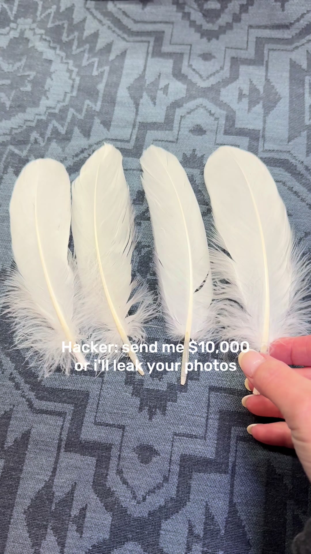 @BuckarooSupplyCo