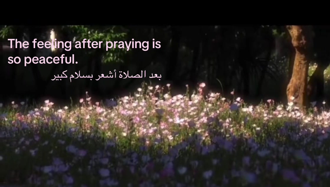 @NurAlQalb