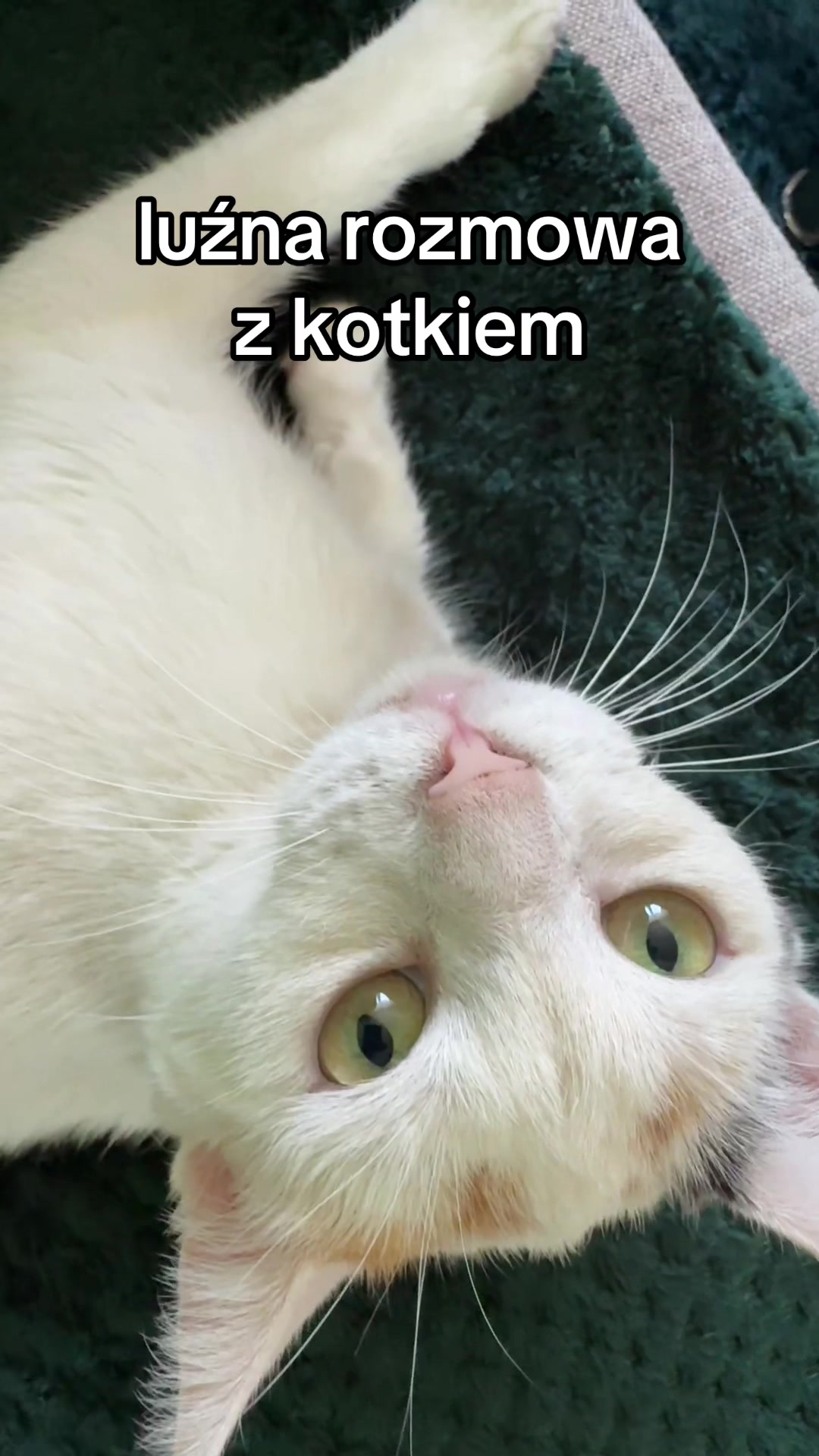 @buba