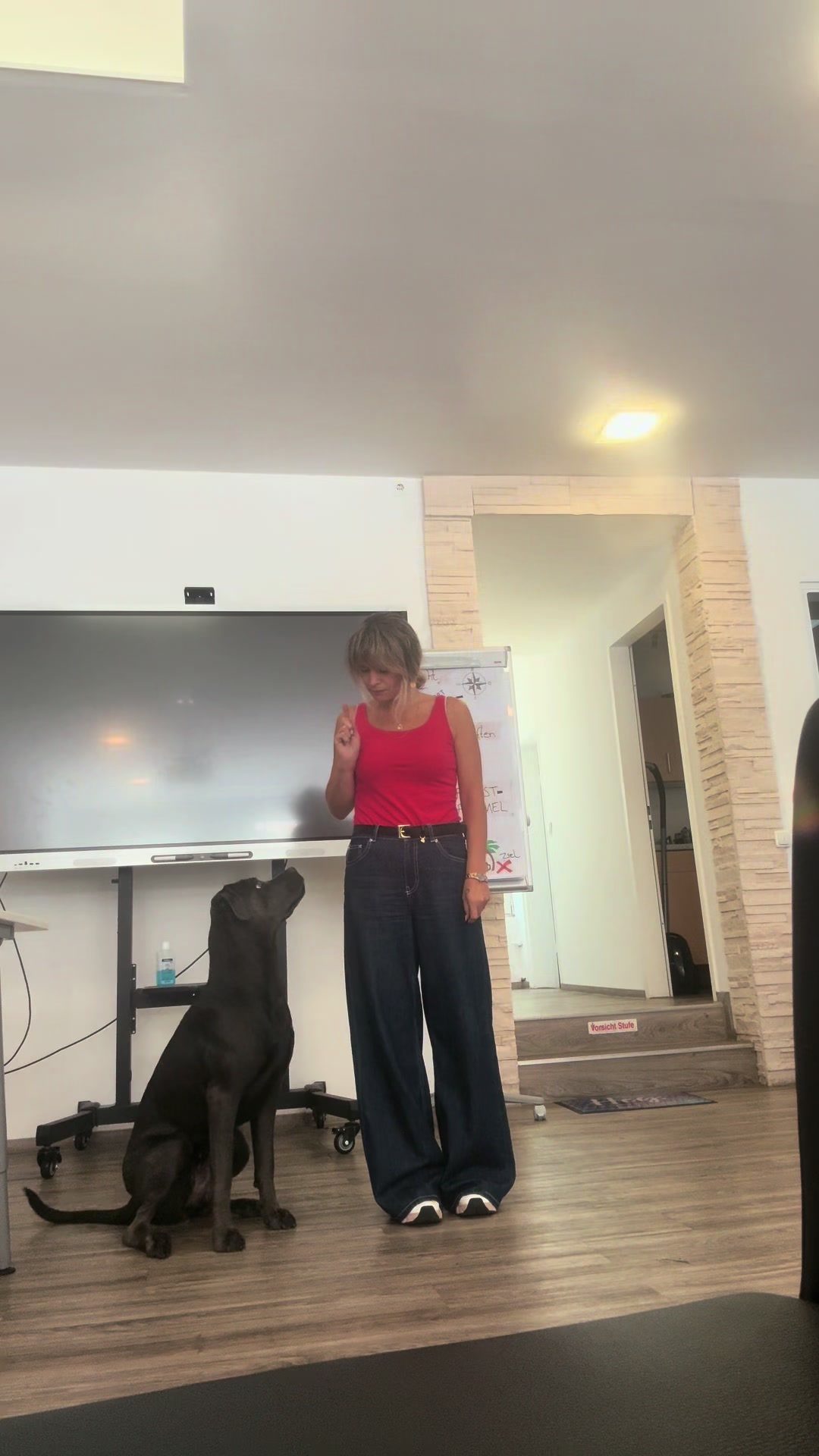 @Cane Corso Ayra 🐾