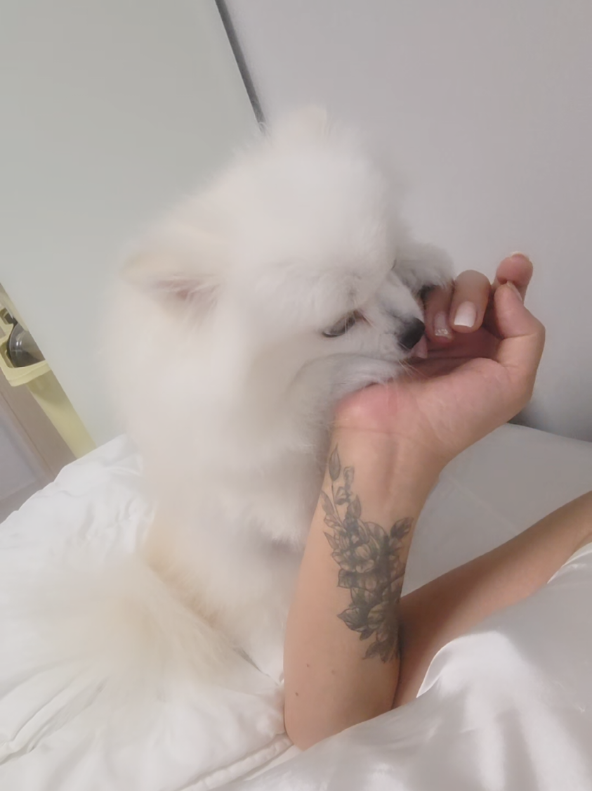 @후후