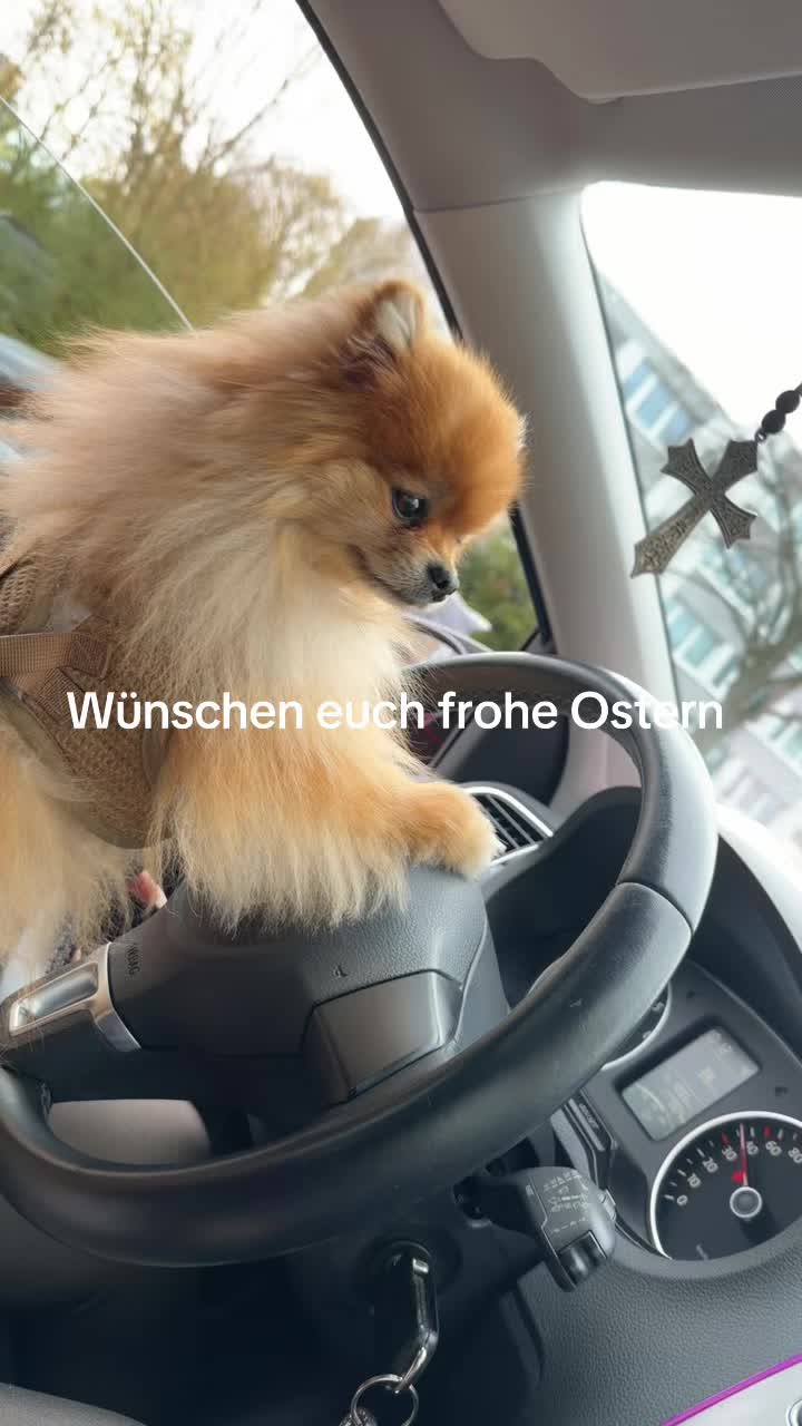 @reneekrger