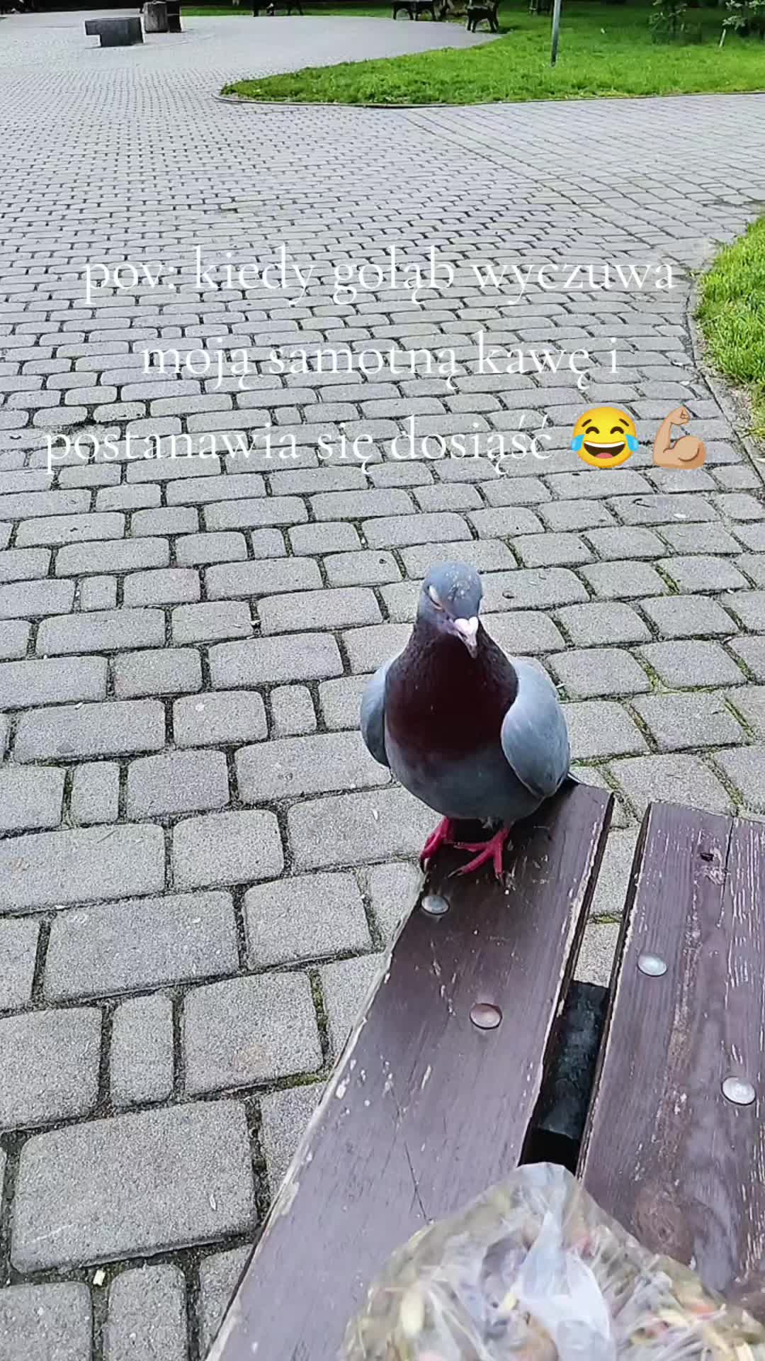 @x_hardthink