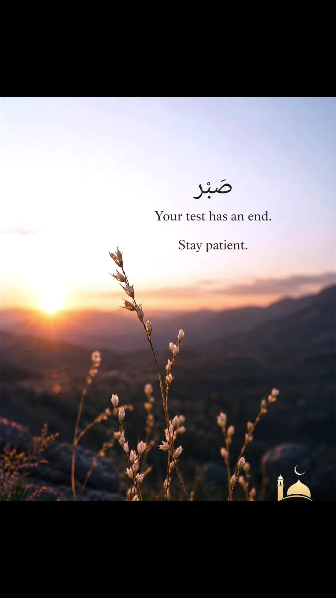 @Sidi Vibe 🇵🇸☝🏼🕋🤲🏼🌹