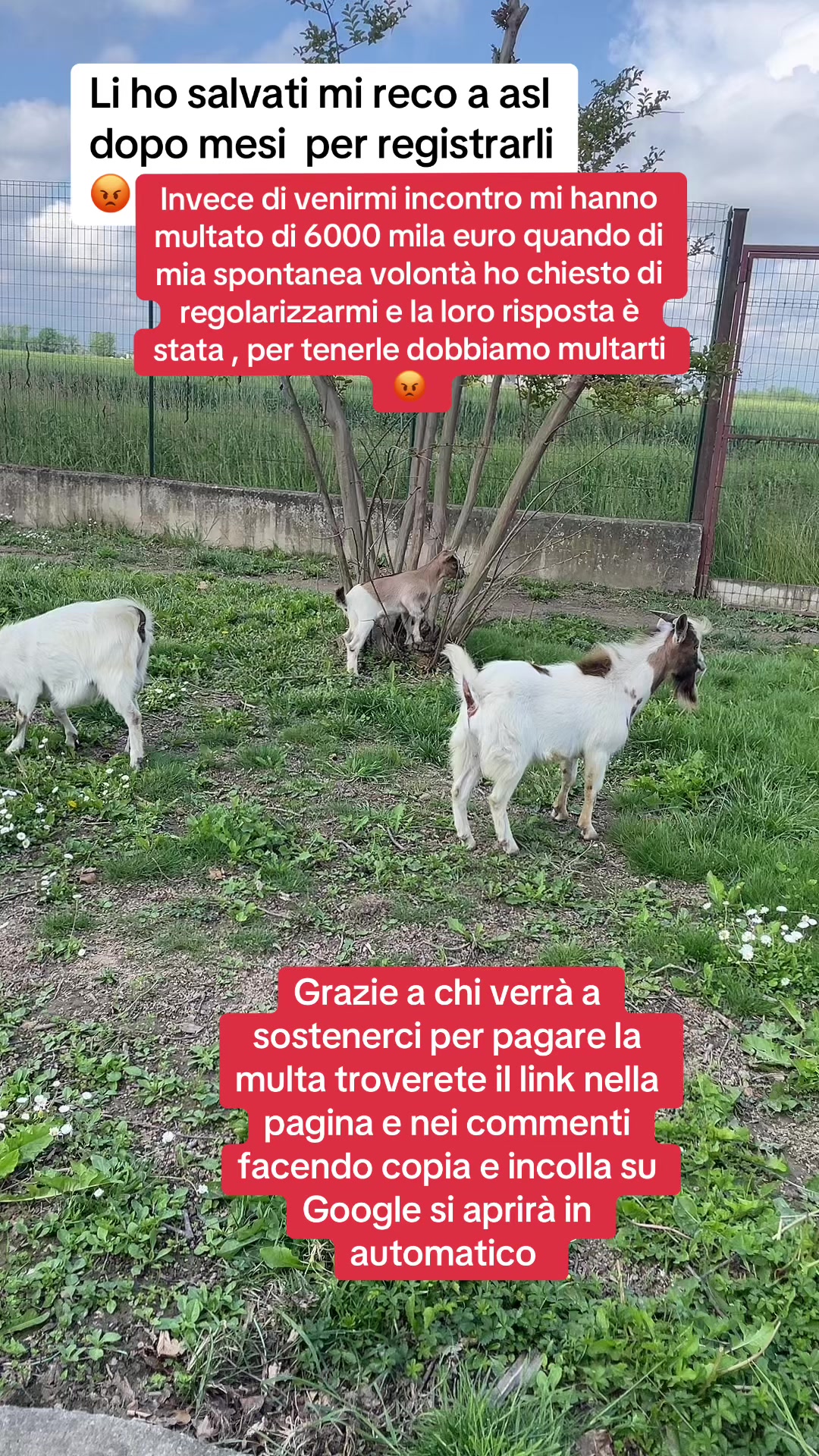 @KIRA❤️LEYLA💙