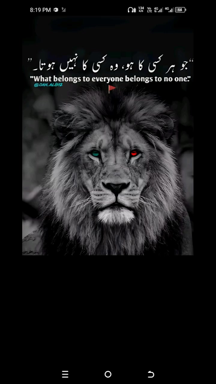 @🫀☠️ستی کی جان ☠️🫀💫