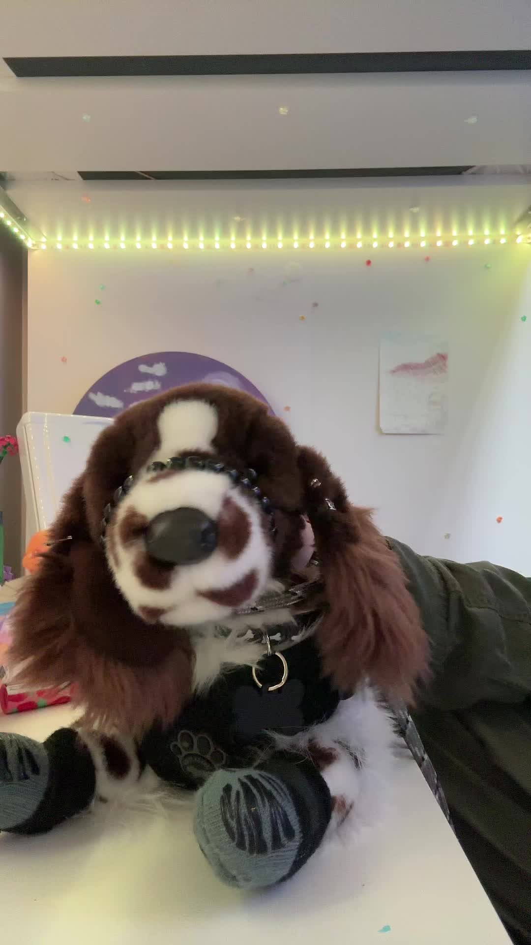 @pupplace