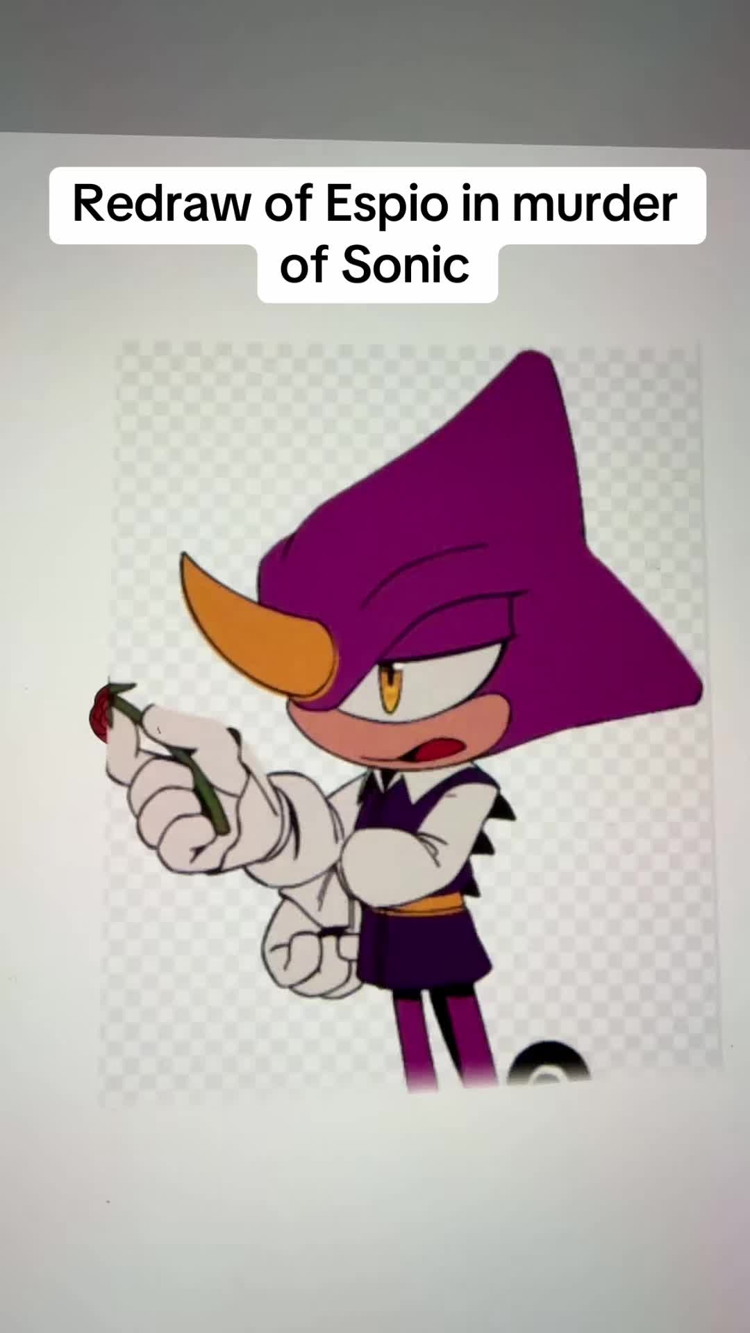 @soniccybernut