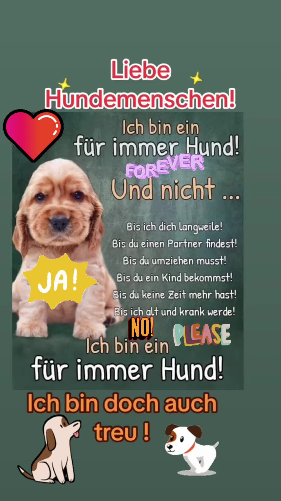@Ulla. Pfoten-Liebe. ❤️