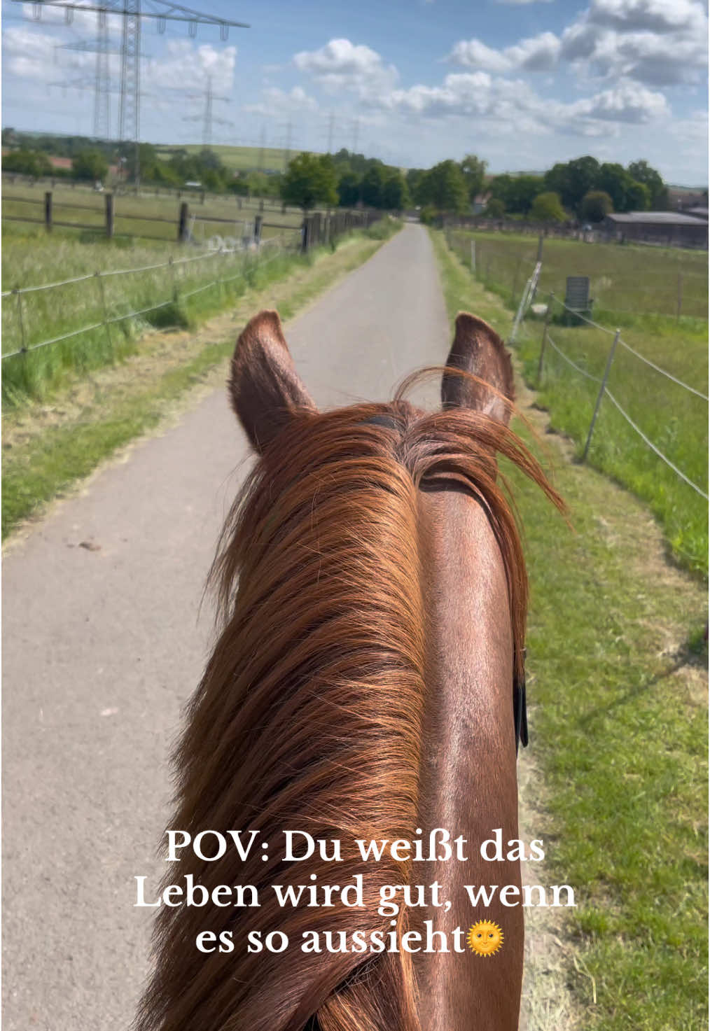 @Marlay Demmerle