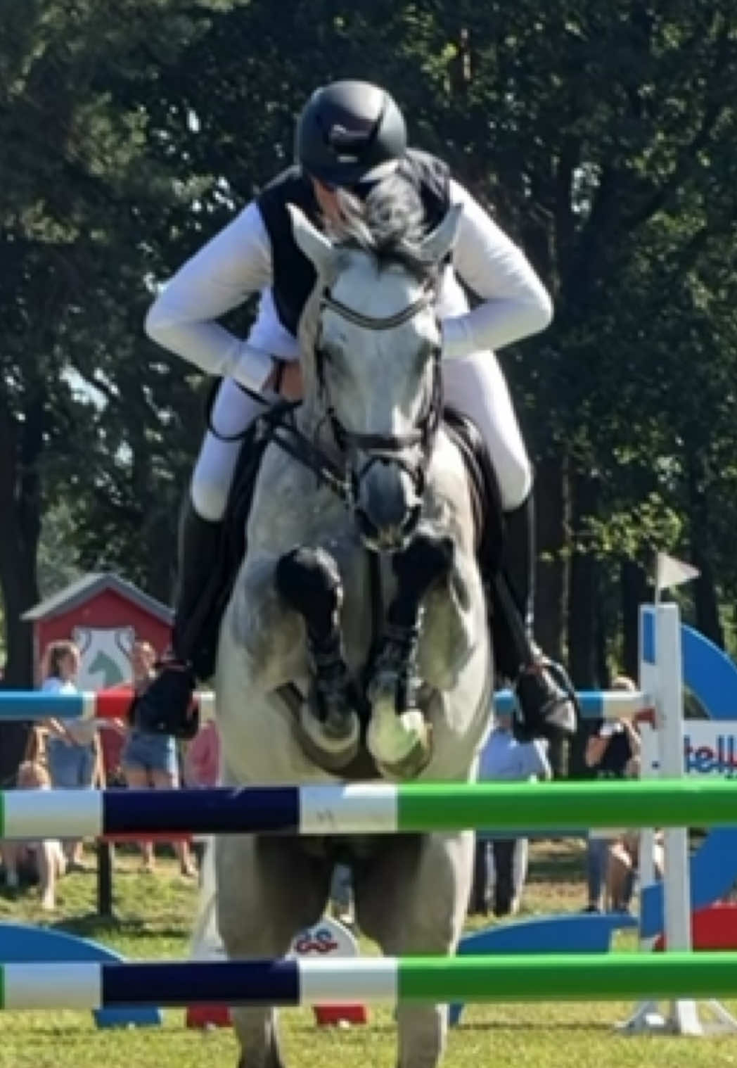@Laura | German Horseracing