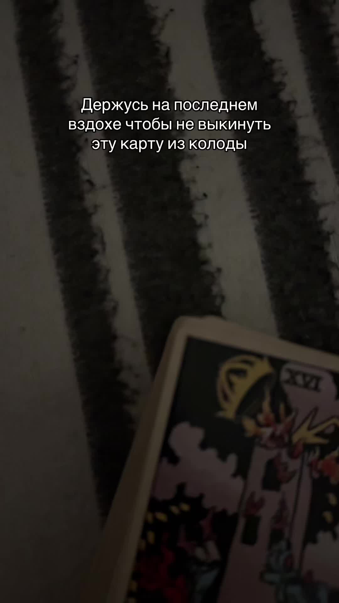 @Анна Таролог🤍