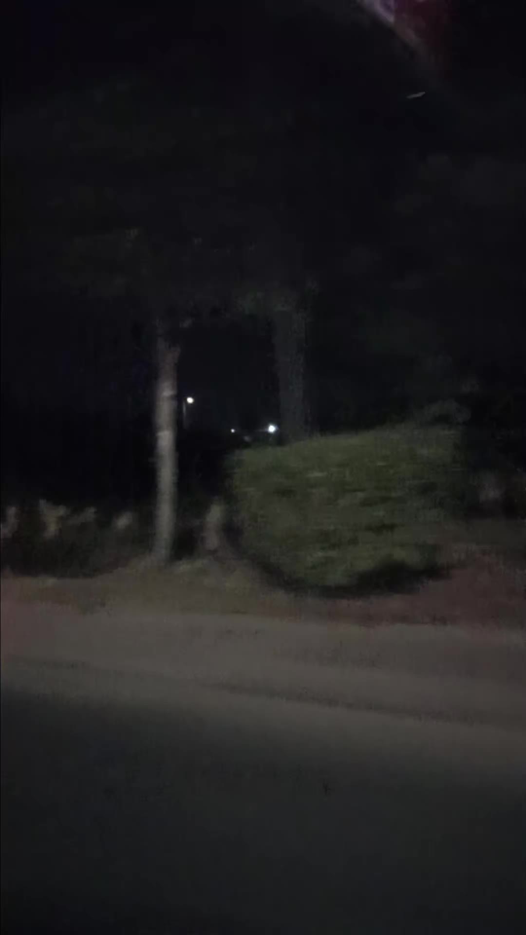 @🇩🇿إبن الدولة الجزائرية 🇩🇿