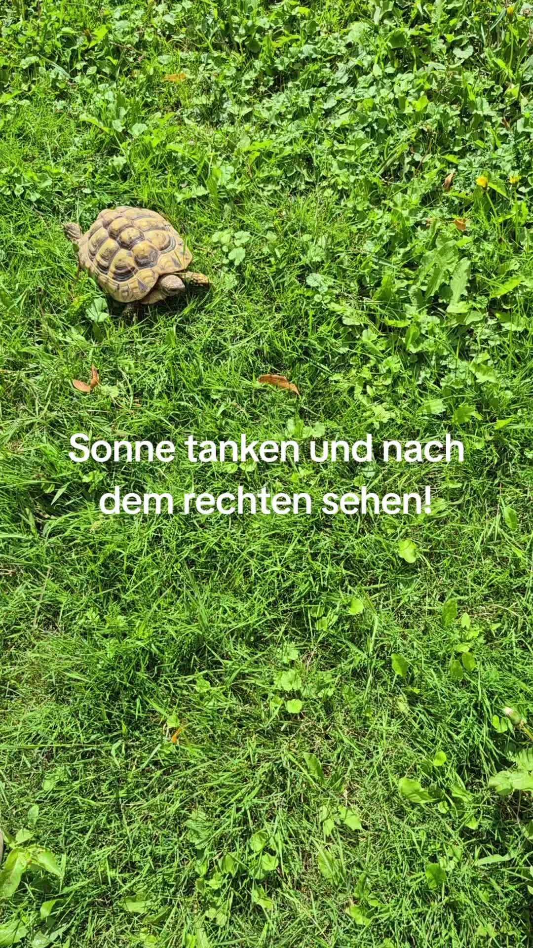 @Alexandra Neumann
