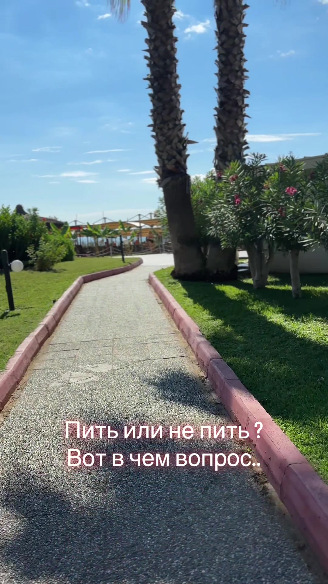 @olga
