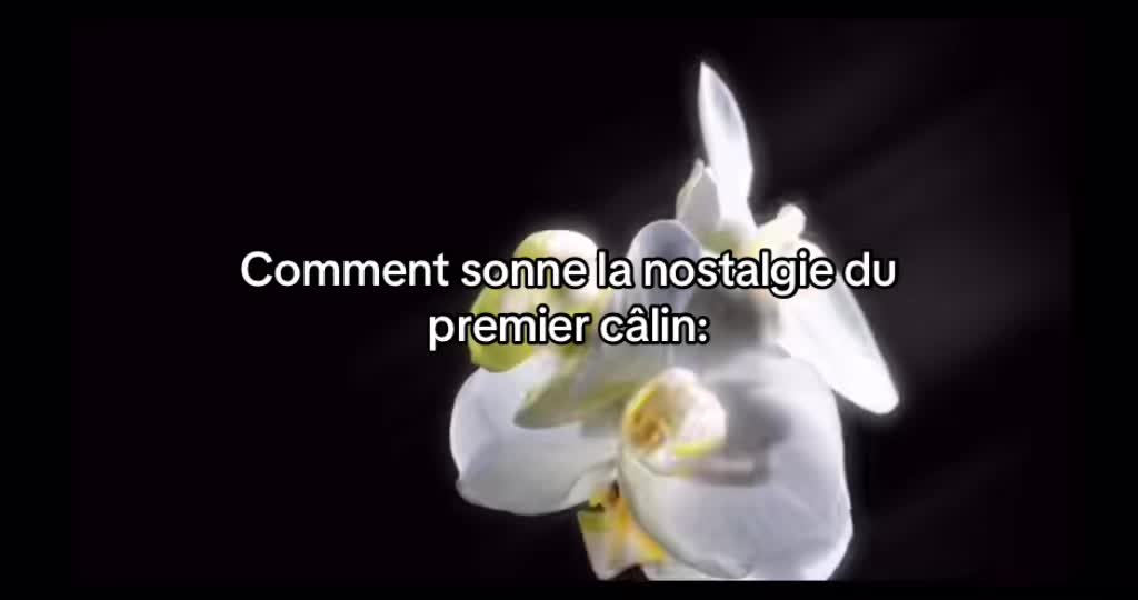 @moi_3004