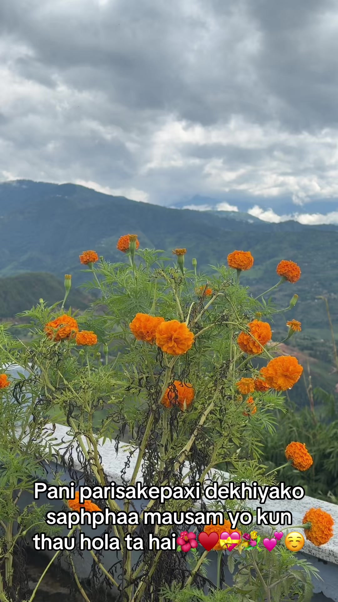 @meenu Rijal Adhikari