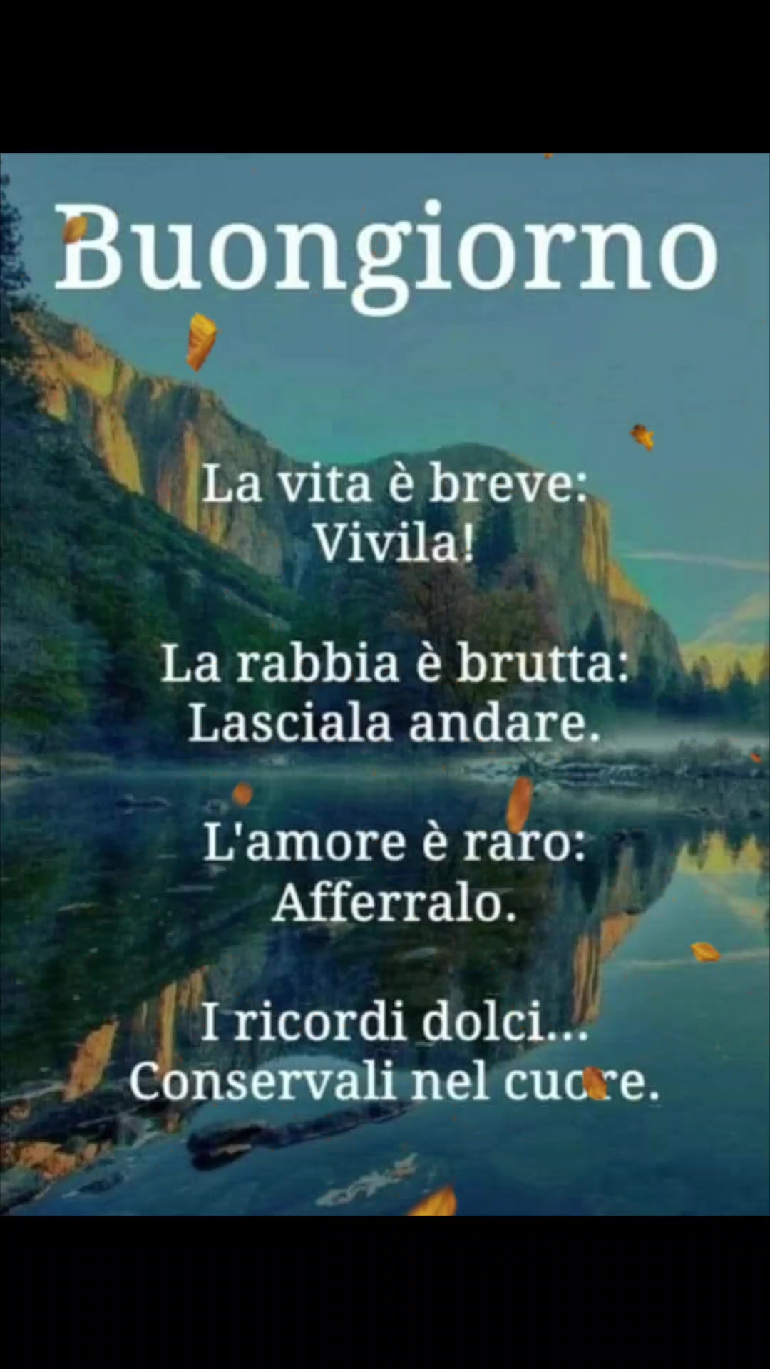 @alessandramarchi726