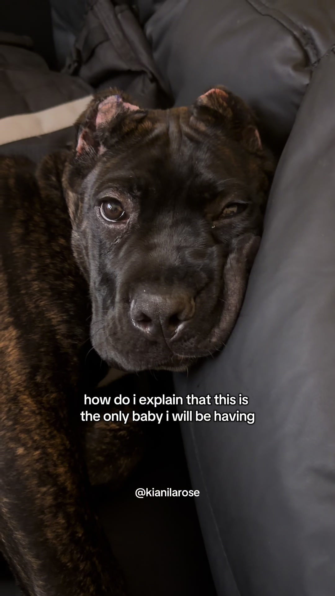 @Ki & Kora