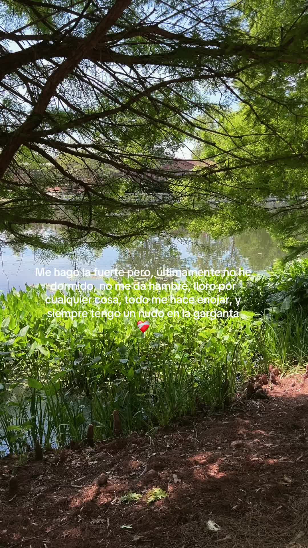 @hadadeletras