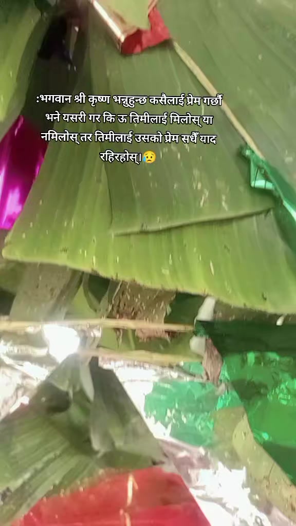 @Saru Chauhan503