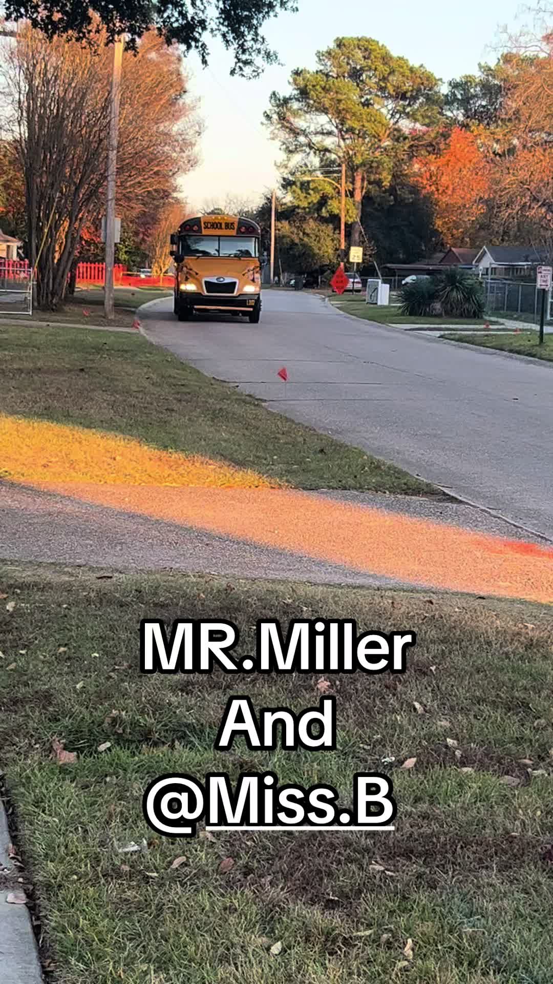 @Bluebirdbus302