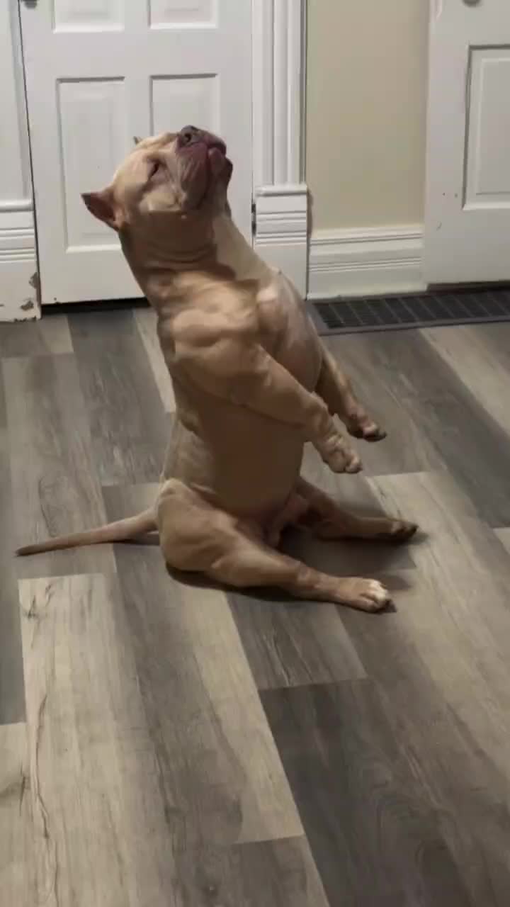 @ZuromTv