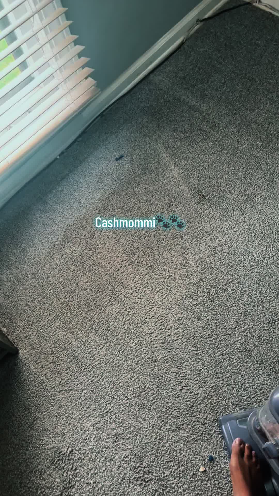 @CashmommiVacs