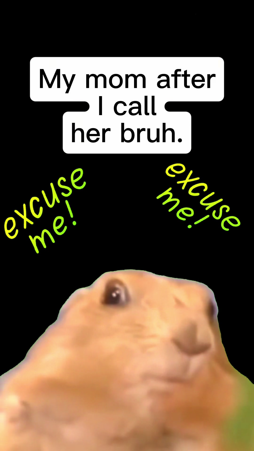 @little mike