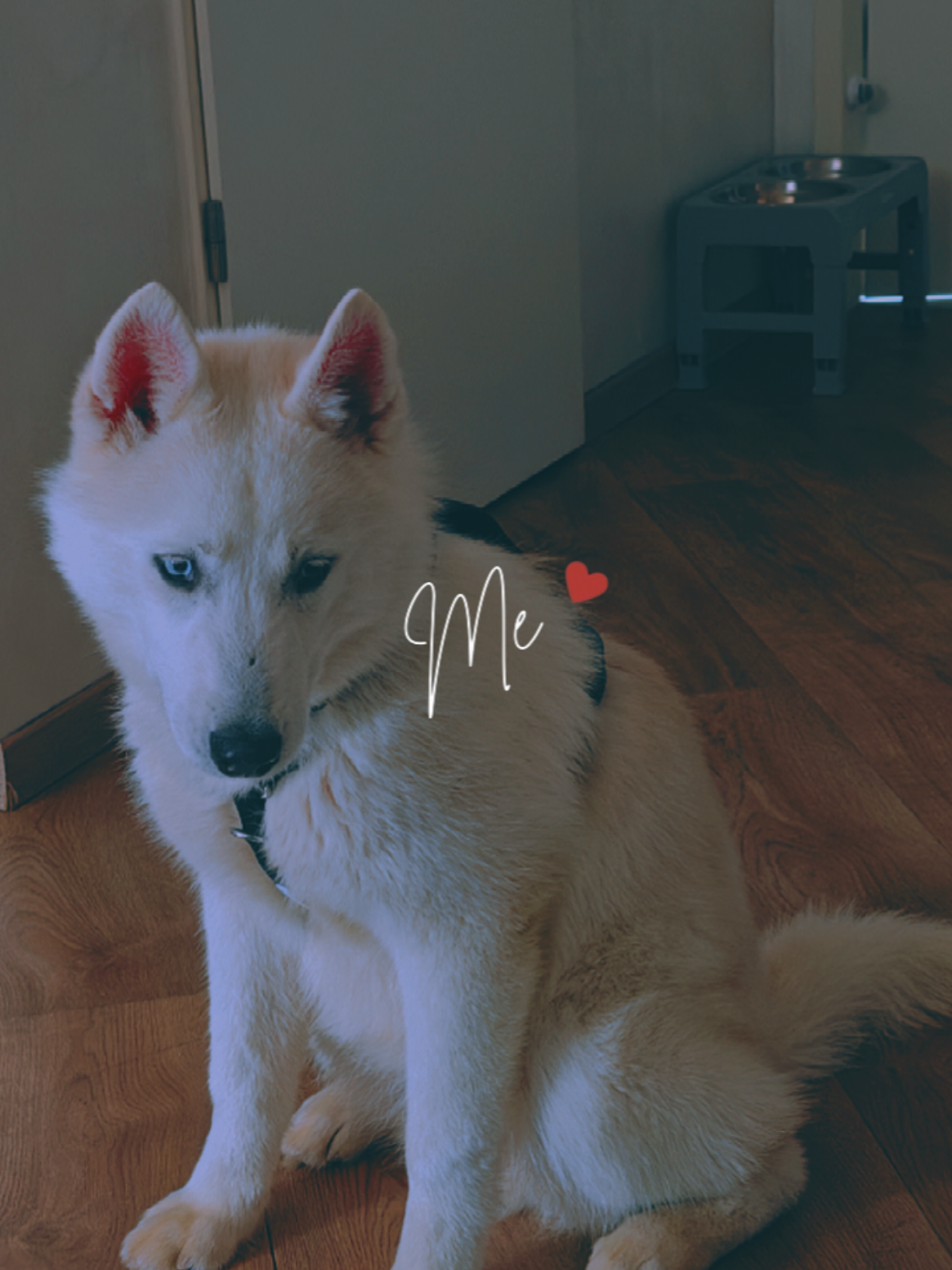 @😈🖤Z&alpha;&alpha;ɳƚɾ&iota;&alpha;&alpha;_&sigma;ϝϝ&iota;ȥ&iota;ҽʅʅ🖤😈