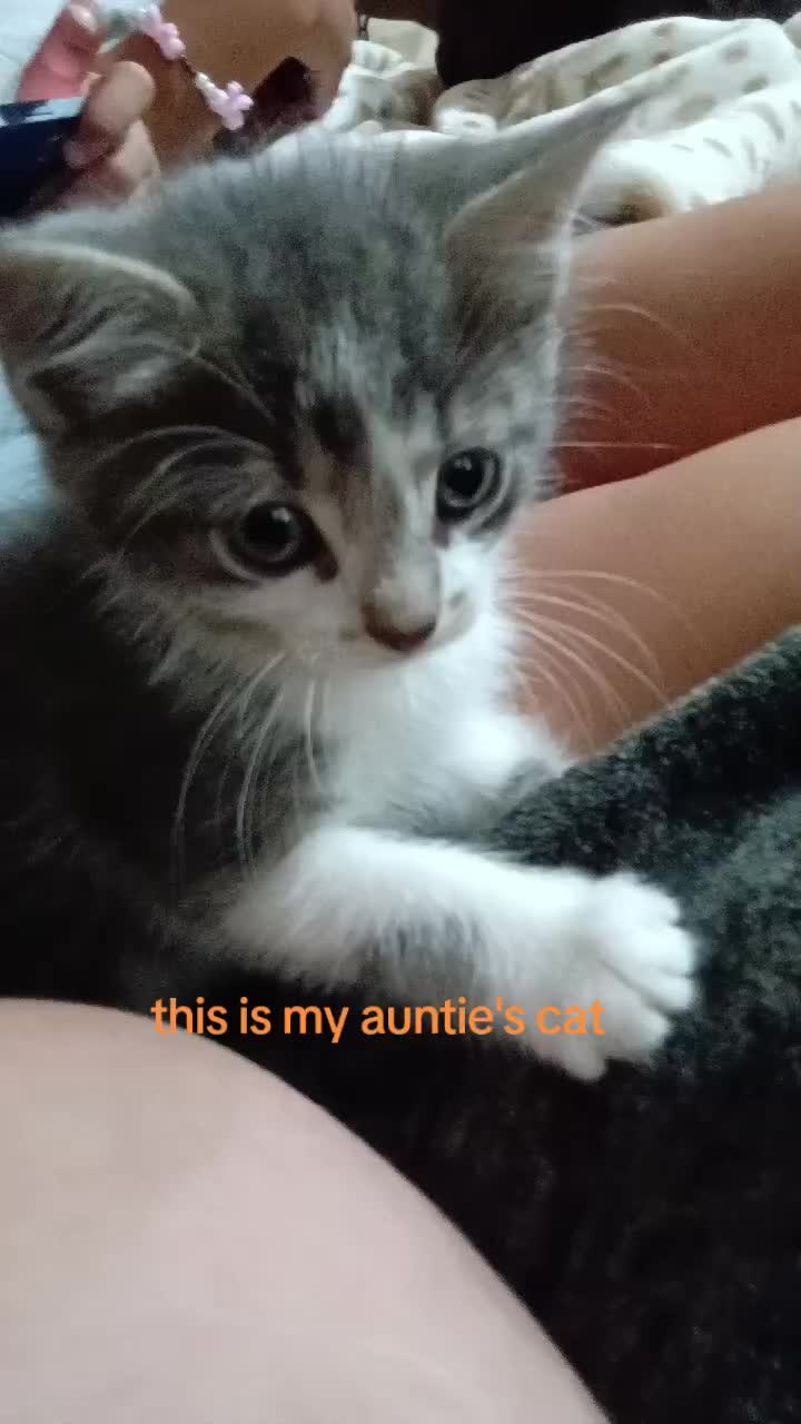 @litzy