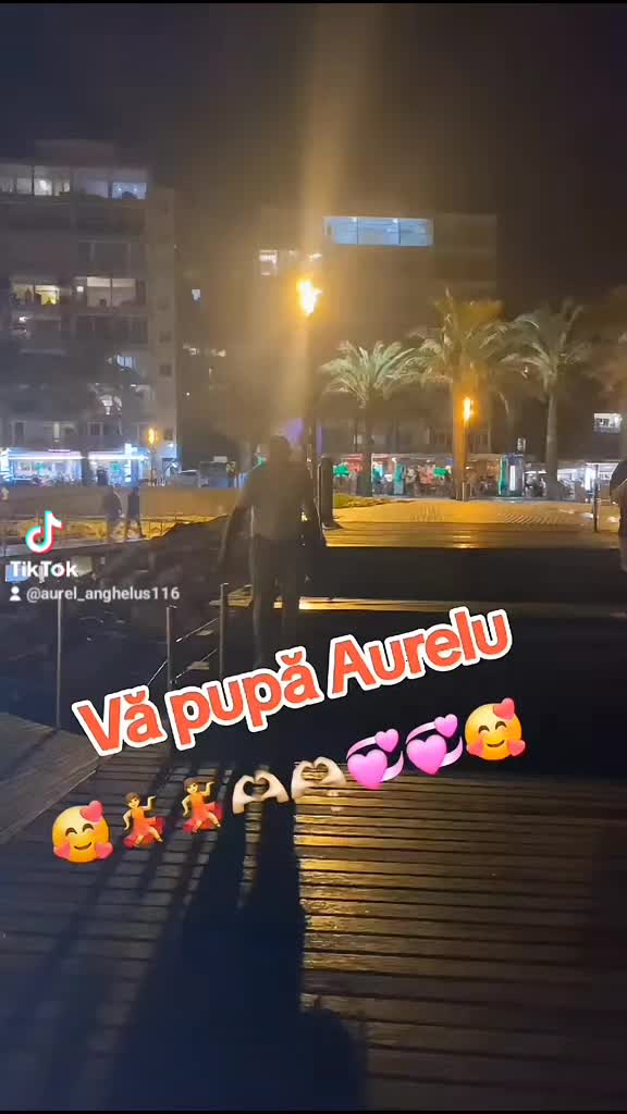 @Aurel Anghelus_22