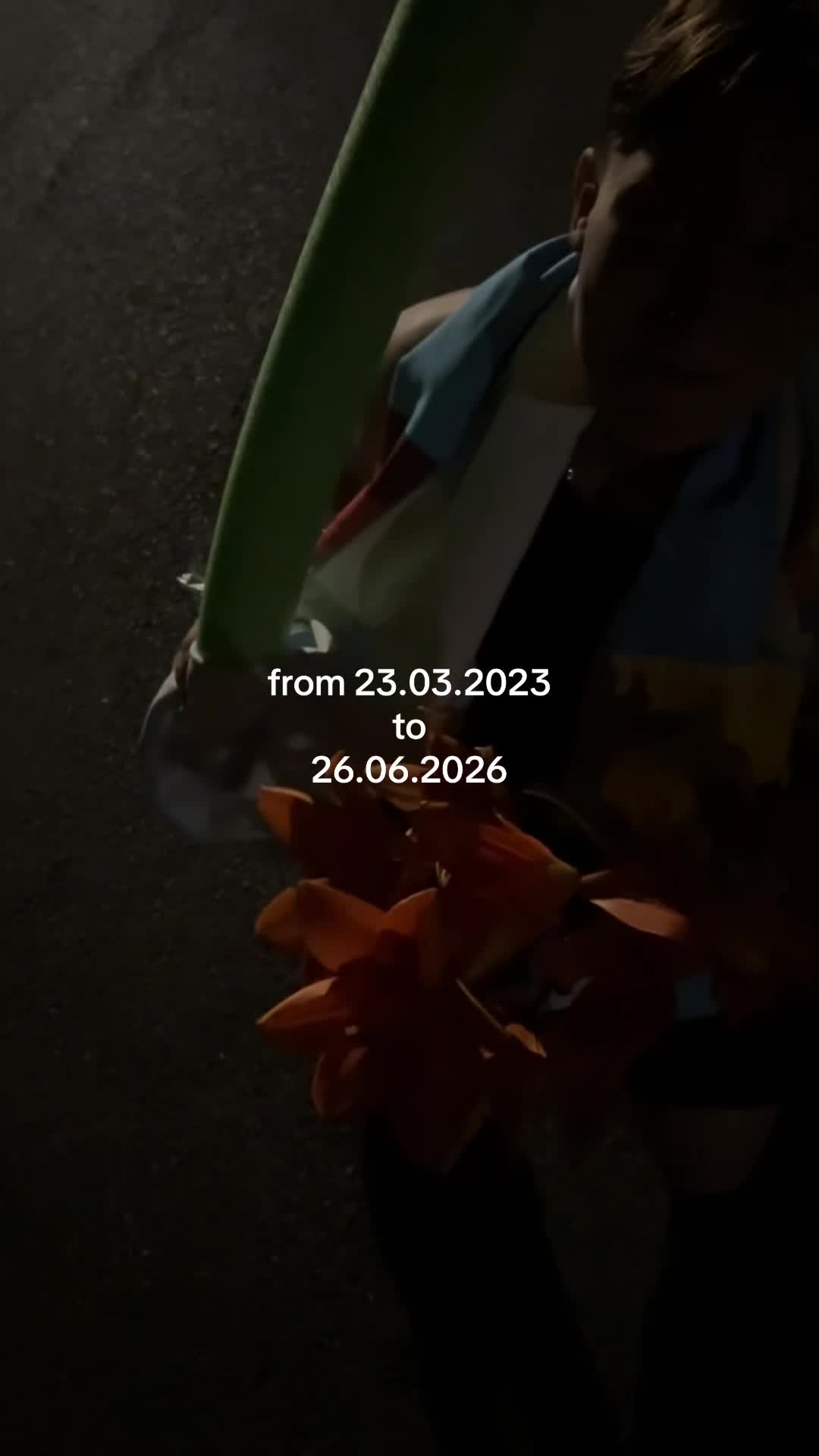 @gg⚢