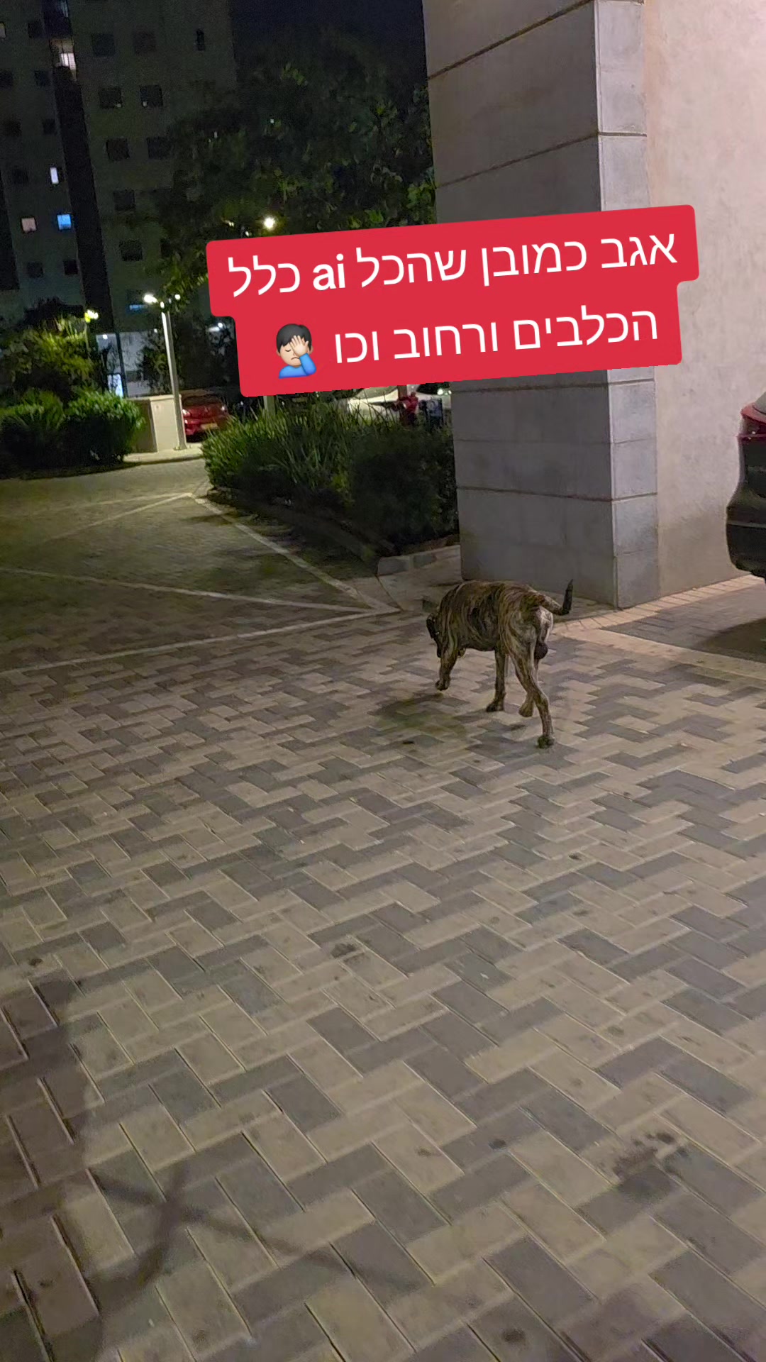 @מידן כחלון מנהיג הלהקה