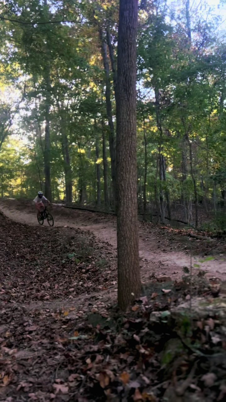 @🛹JAX🚲