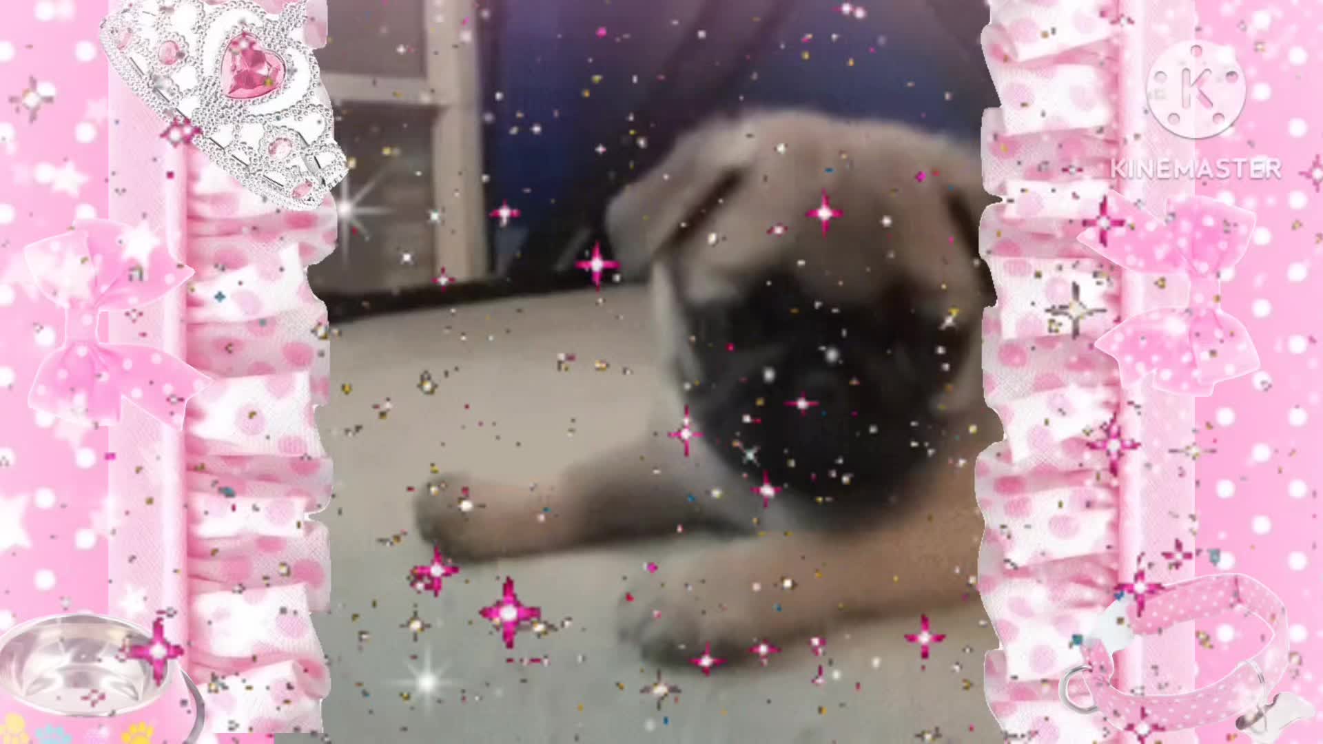 @♫&bull;♬&bull; 𝒔𝒖𝒈𝒂𝒓_𝒄𝒂𝒌𝒆𝒔&bull;♬&bull;♫