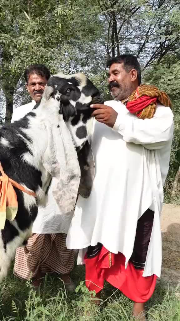@Sufyan Gujjar