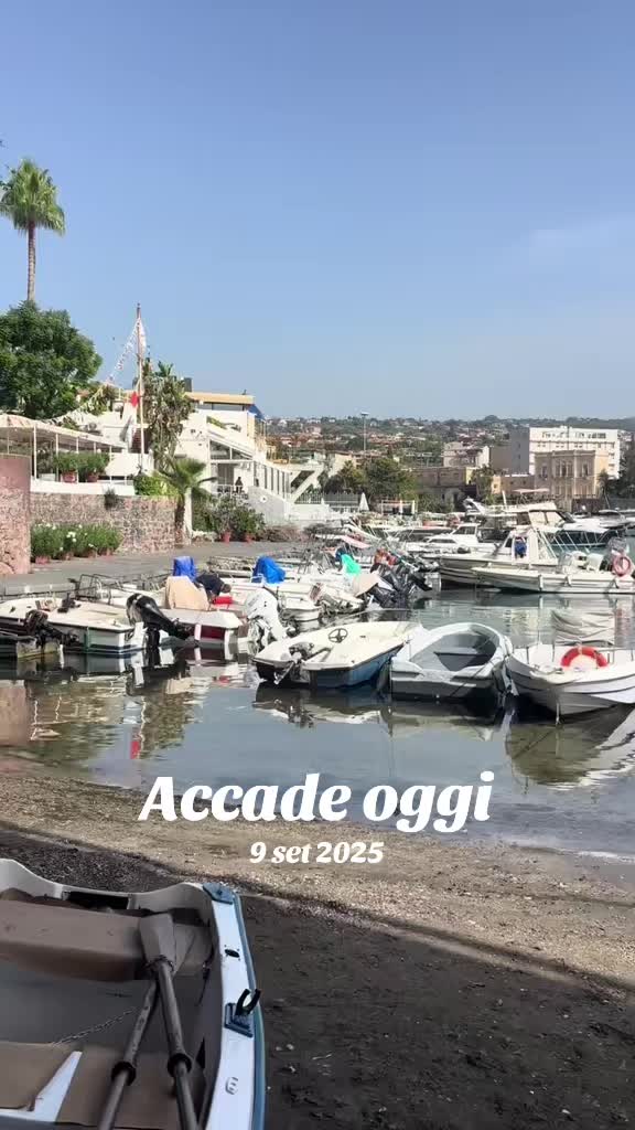 @alfio28