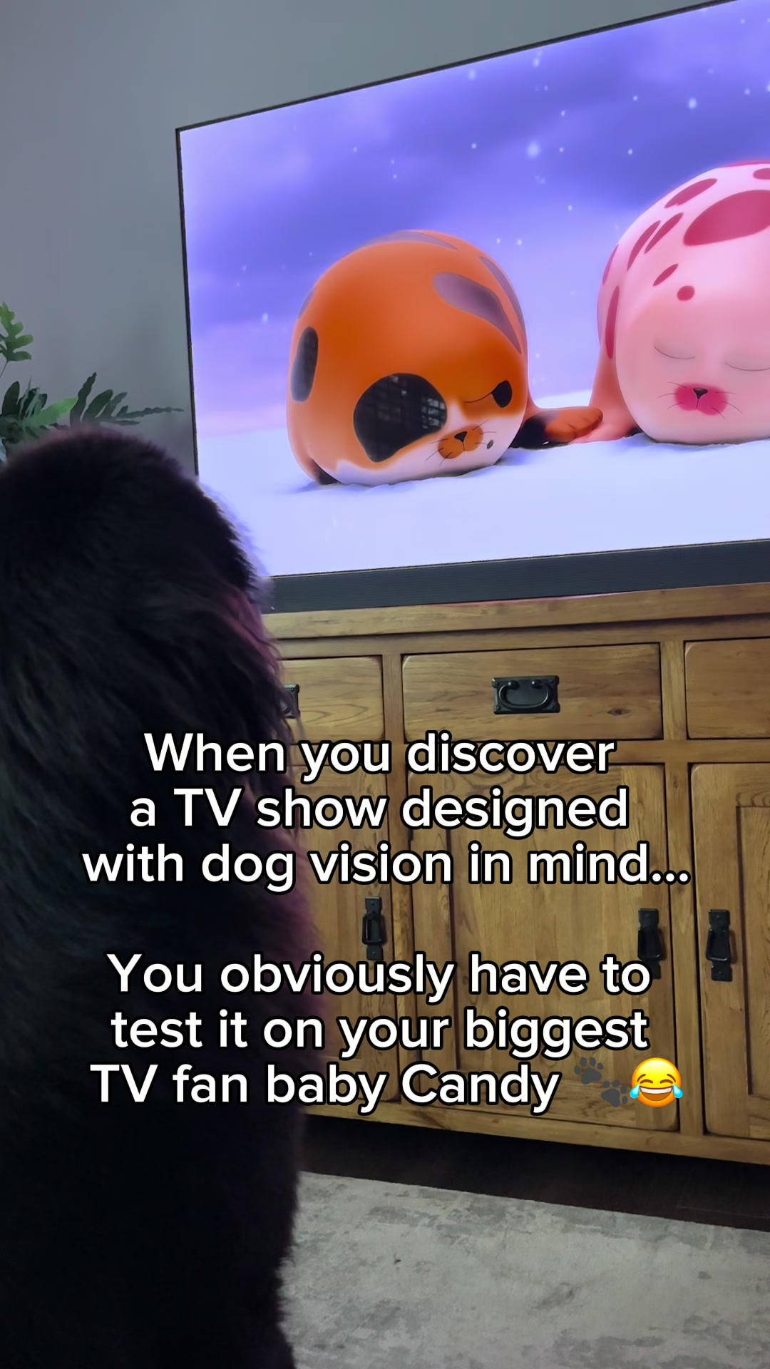 @Newfypups