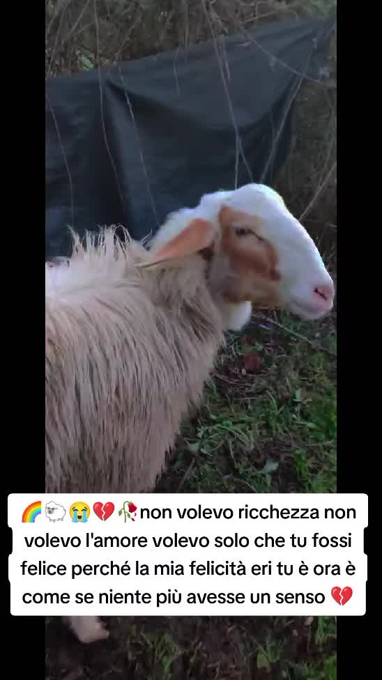 @matildelaurent14