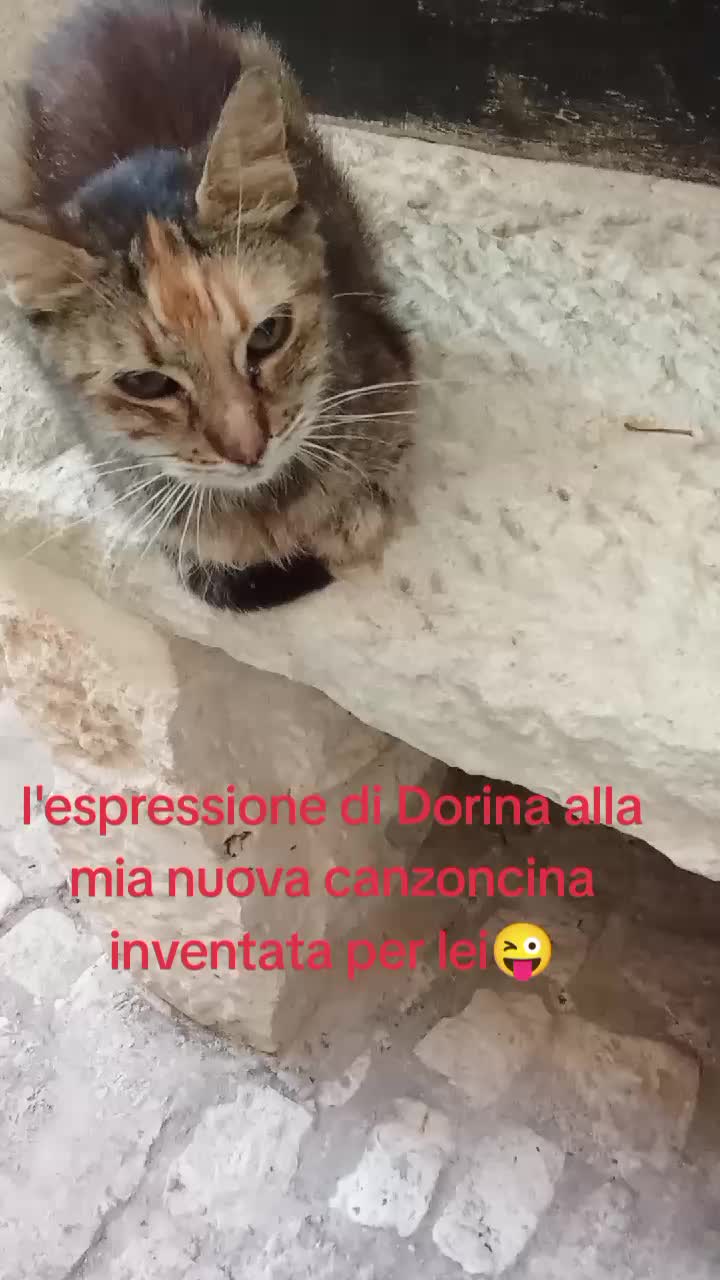 @Dolores D'angelo